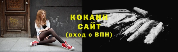 ГАЛЛЮЦИНОГЕННЫЕ ГРИБЫ Семёнов