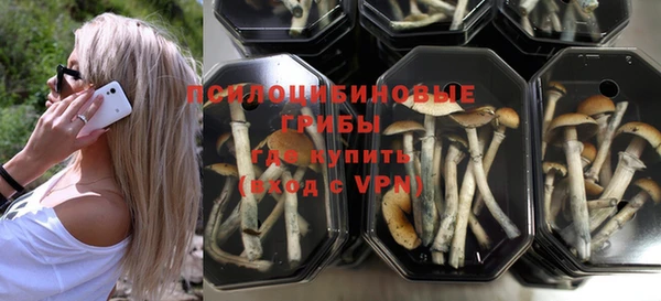 винт Балахна