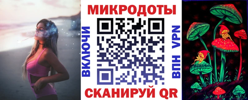 где найти   Корсаков  Галлюциногенные грибы MAGIC MUSHROOMS 