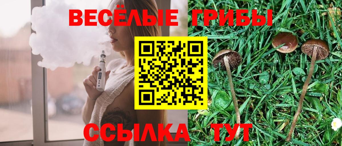 Псилоцибиновые грибы Magic Shrooms Корсаков